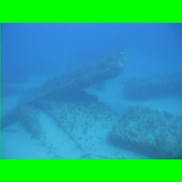 Dive WP Wrecks 25-Oct-09_427.JPG